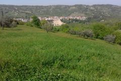 IMG-20170422-WA0013