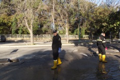 DSCF7428