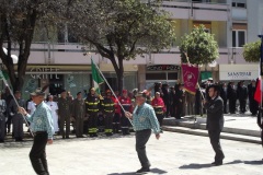 DSCF7964