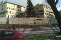 07042009008